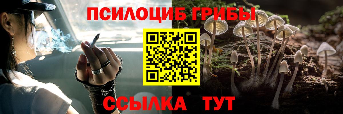 Псилоцибиновые грибы MAGIC MUSHROOMS Калуга